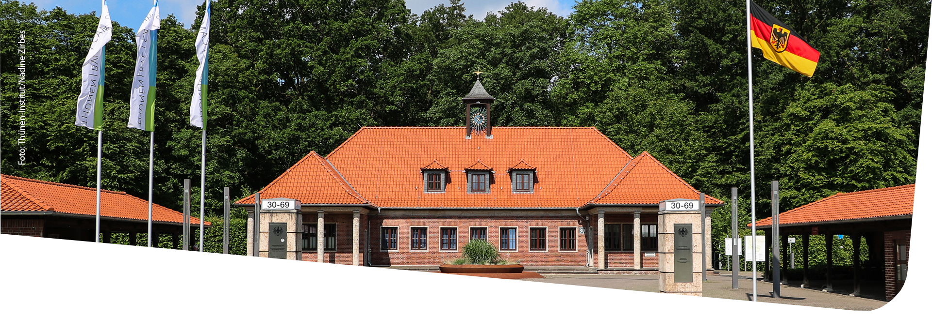 Dekorative Grafik